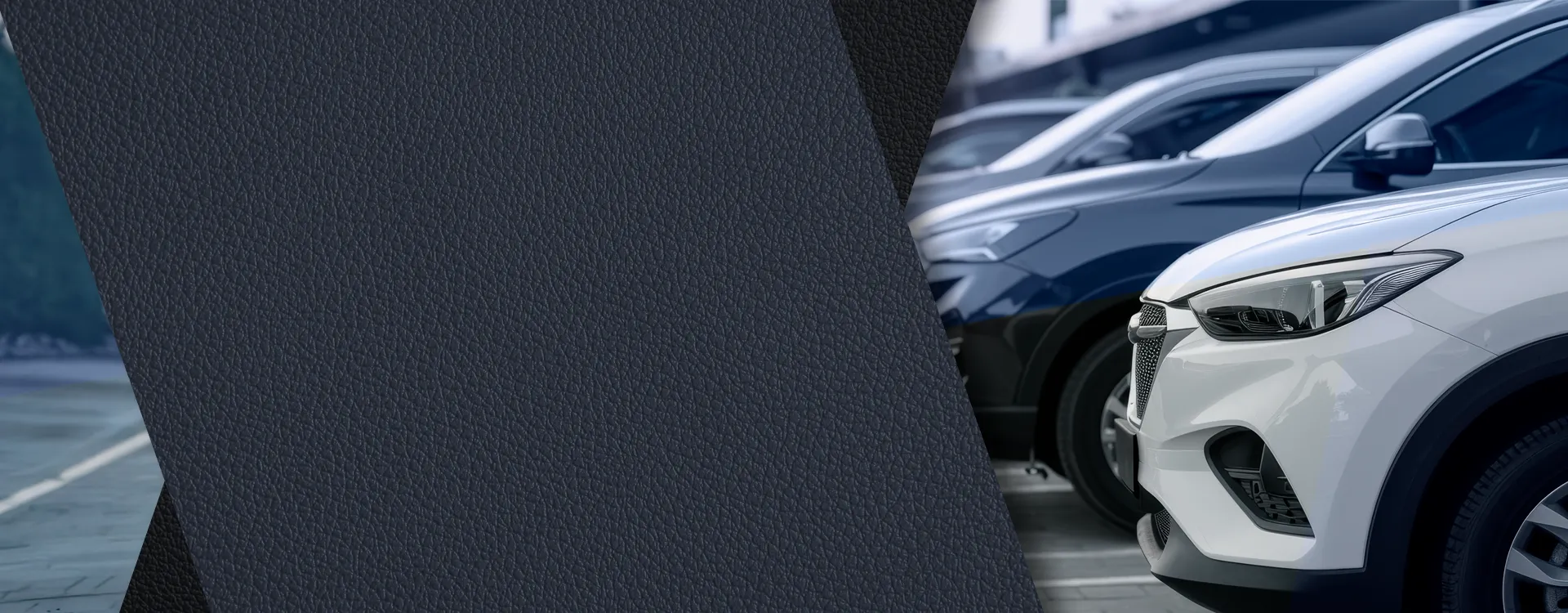 Banner 3